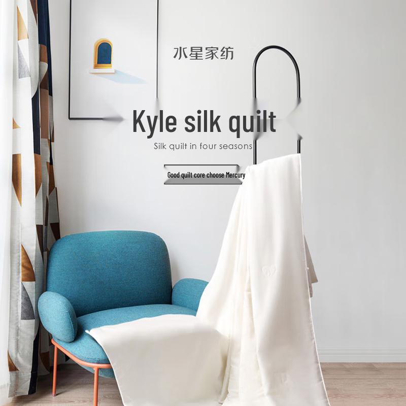 

Mercury Home 100% Tussah Silk Quilt