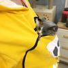 Sweatshirt für Katzenliebhaber, Kapuzenpullover mit Känguru- und Hundepfoten-Motiv, Kuschelbeutel, Sweatshirt mit Tierohren, Kapuzenpullover