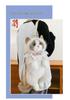 Super Cute Cat Backpack Plush Doll for Children