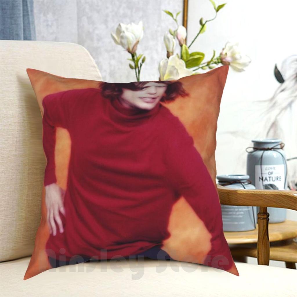 Matthew Gray Gubler Pillow Case Printed Home Soft Throw Pillow Matthew Gray Gubler Meme