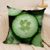 Fresh Food Anime Health Cushion Cover Silky Short Plush DoubleSided Printed Pillow Case for Sofa All Seasons Home Decor Gift