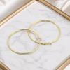 1 Pair Big Hoop Earrings for Women Girls, Round Circle Hoop Earrings, Lightweight Minimalist Jewelry Gifts for Her
