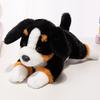 1Pc 22/30CM Simulation Husky Golden Retriever Beagle German Shepherd Dog Plush Toys Lovely Pet Dog Dolls Kids Birthday Gift