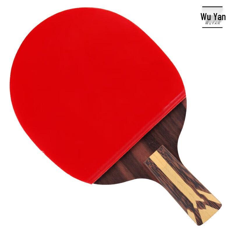 DHS Hurricane 9-Star Penhold Table Tennis Racket