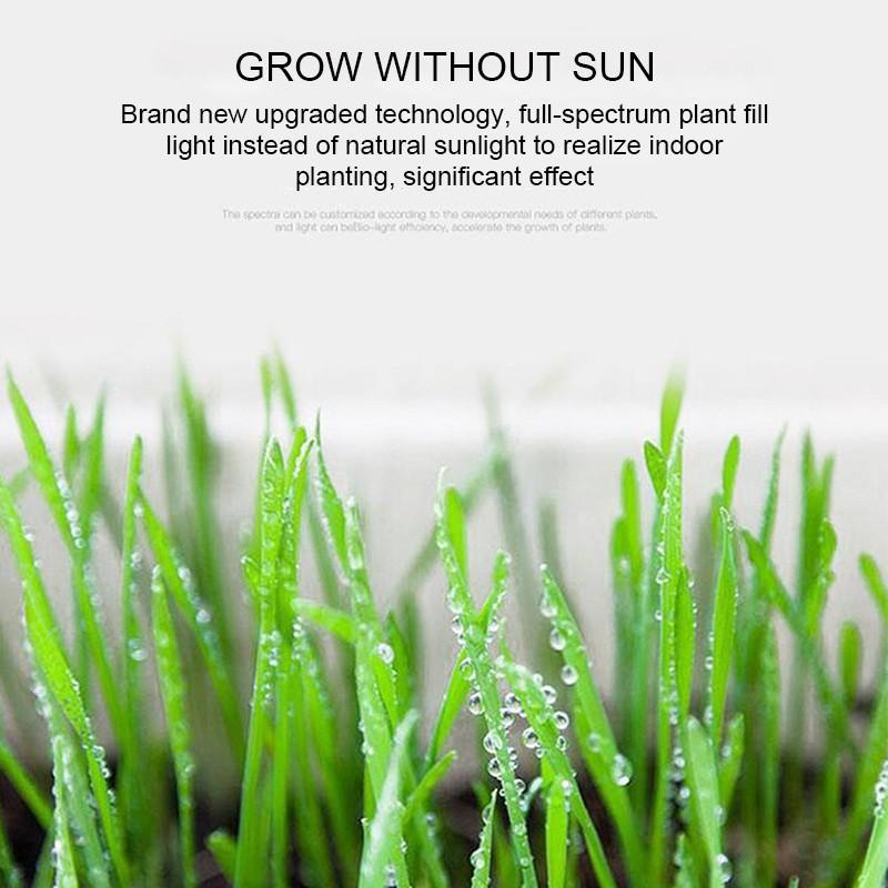 Goodland LED Grow Light USB Fyto lampa Full Spectrum Fitolamp s kontrolní fytolampou pro rostliny Sazenice Květinový domácí stan