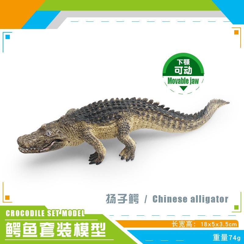 Mini Crocodile Wild Boar Caiman Nile Crocodile Alligator Wildlife Animal Model Scale Miniatures Decorations Simulated Home Decor
