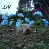 Weather-Resistant Outdoor Lights Fairy Hydrangea Light LED Solar Powered Garden Stake Lights