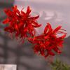 Lycorisradiata Fleur Artificielle Épingles à Cheveux Tissu Hanfu Bâtonnet à Cheveux Mignon Fleur Pince à Cheveux Hanfu