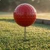 Golf Tee Marker Stainless Steel Dimpled Ball for Golfers Red