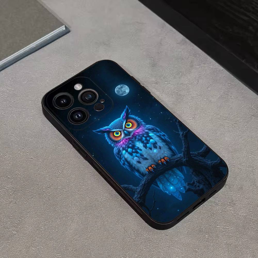 Cute C-Colorful Owl B-Bird Phone Case For iPhone 17,16,15,14,13,12,11 Plus,Pro Max,XS,X,XR,SE,Mini,8,7,Soft Silicone Black Cover