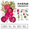 Natural Dried Flowers Pack For Diy Resin Pressed Flower Art