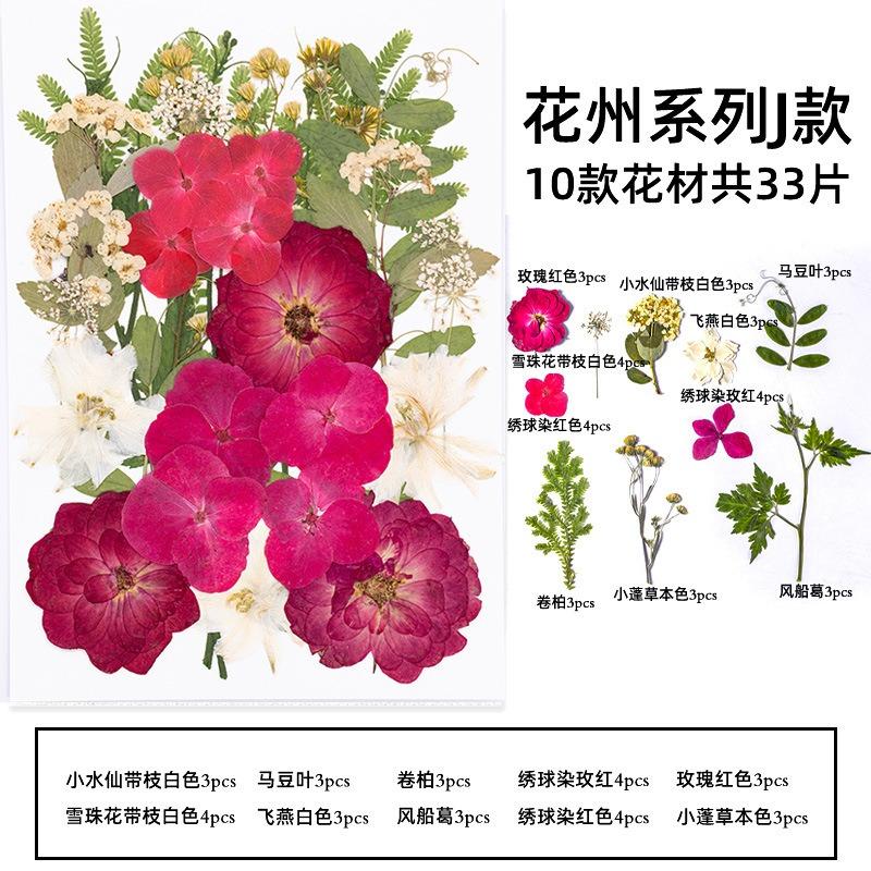 Natural Dried Flowers Pack For Diy Resin Pressed Flower Art
