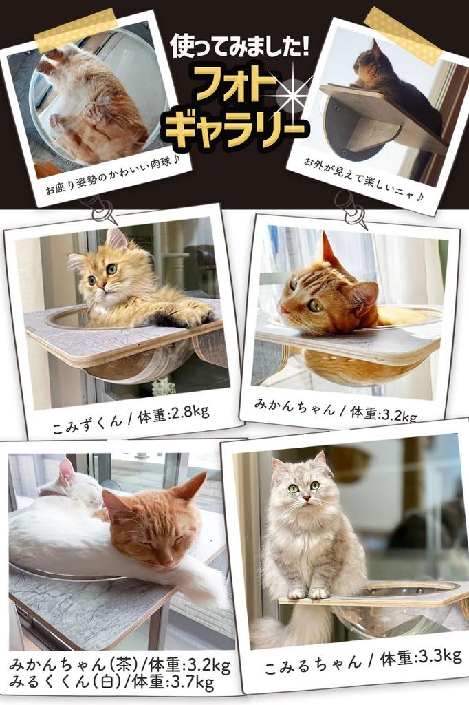 POOKIE Cat Window Hammock Scratching Window Bed Cat Step Cat Tower Bed Stand Cat Bed Suction Cup Installation of [Set 2]
