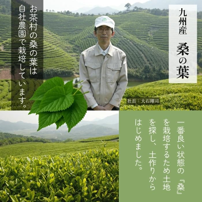 Japanese Jerusalem Artichoke Mulberry Tea (2g X 100 Bags) Diet Inulin Dietary Fiber Moranolin Mulberry Mulberry Leaf Tea Jerusalem Artichoke Tea