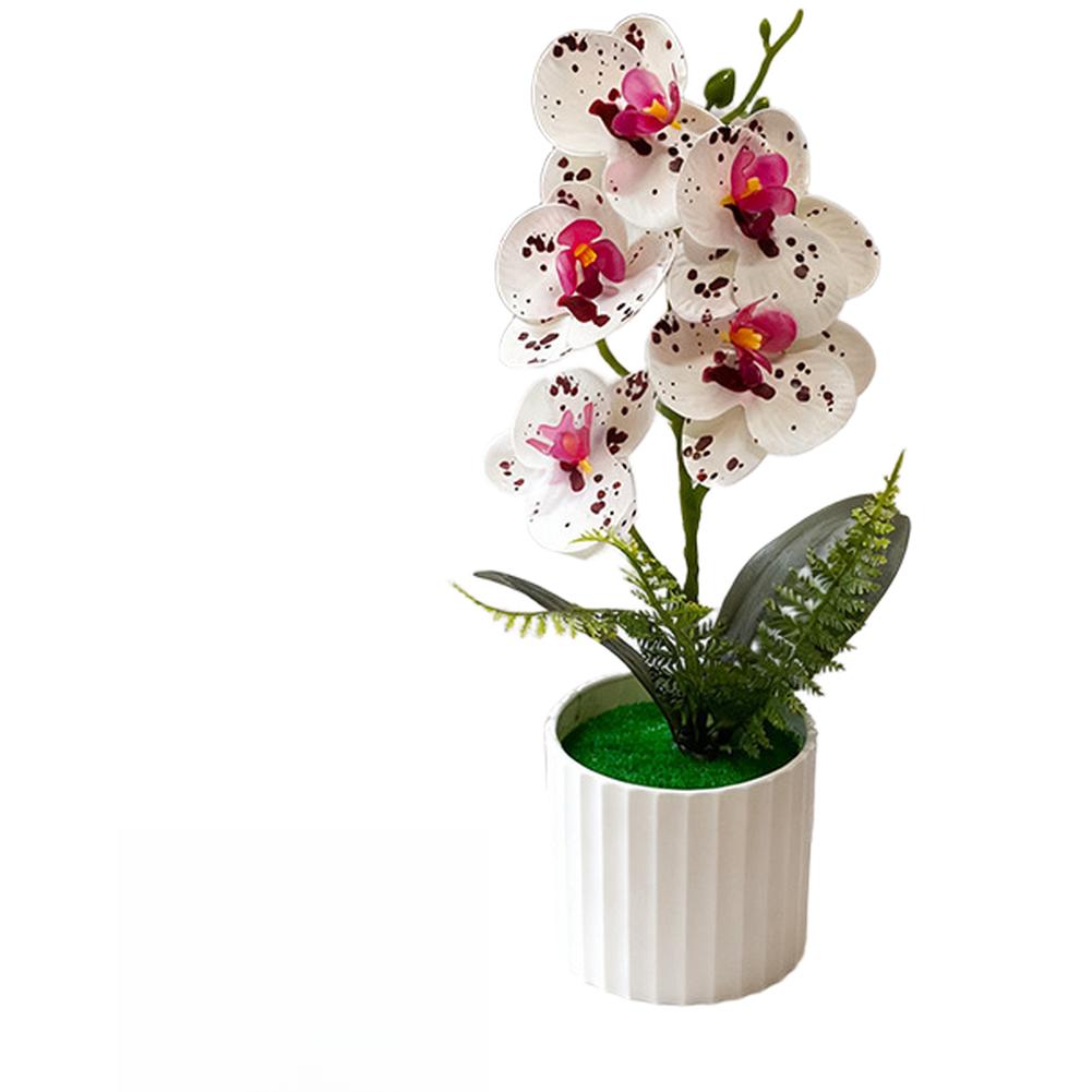 5 Potted Artificial Phalaenopsis Orchids for Decorative Application Residential Commercial and Creative Production Spaces