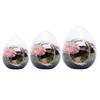Succulent Plant Moss Glass Vase Egg Shape Fragile Glass Moss Bottle for Home Garden Ball Wedding Decor