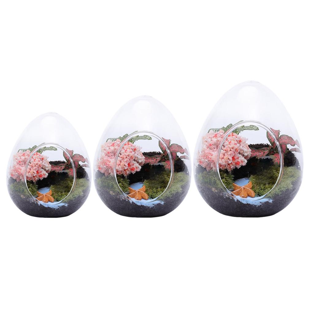 Succulent Plant Moss Glass Vase Egg Shape Fragile Glass Moss Bottle for Home Garden Ball Wedding Decor