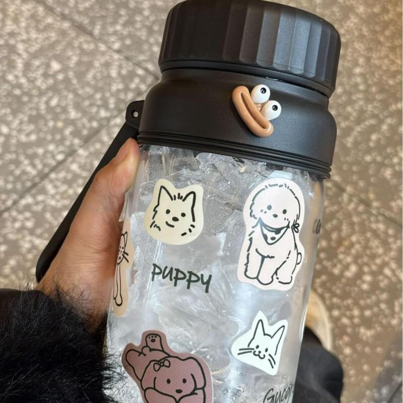 Portable Glass Tea Infuser Bottle with Strap