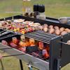 Lanxun Portable Folding Stainless Steel Charcoal BBQ Grill