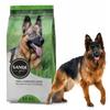 Sandegal Maintenance Najlepsza Karma Dla Owczarka 20Kg
