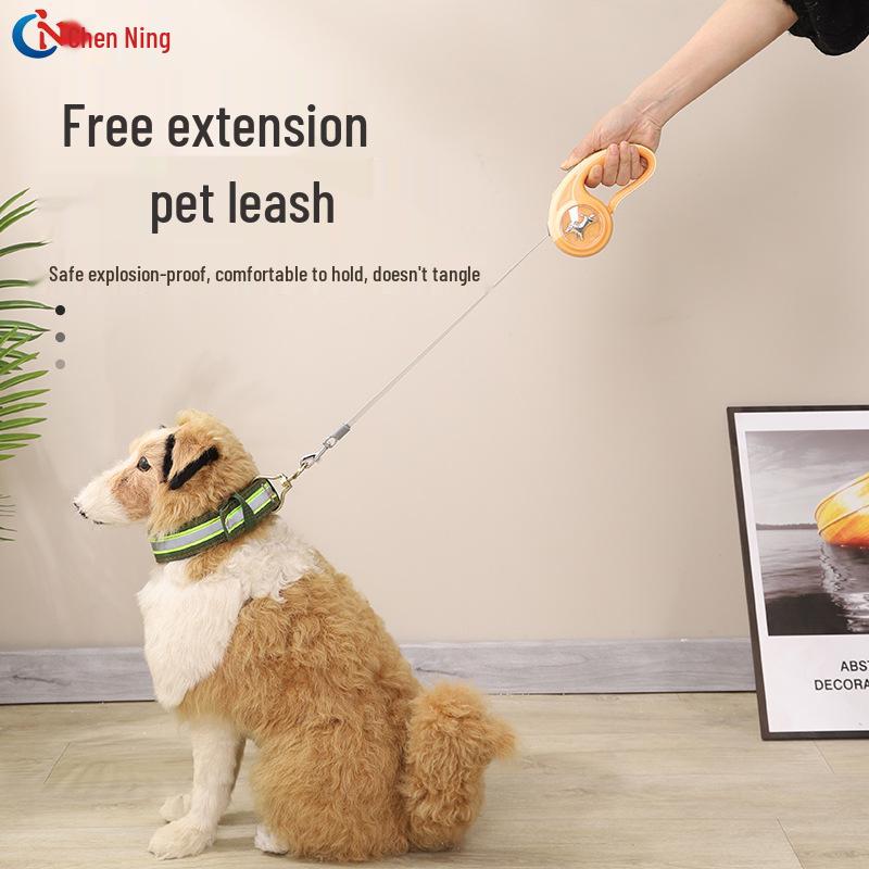 Anti-Bite 5m Iron Chain Dog Leash & Collar Set