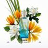 Hermes Island Garden Perfume Floral Eau de Toilette EDT White Flower Nut Mineral Musk 35080121 35080121-100ml