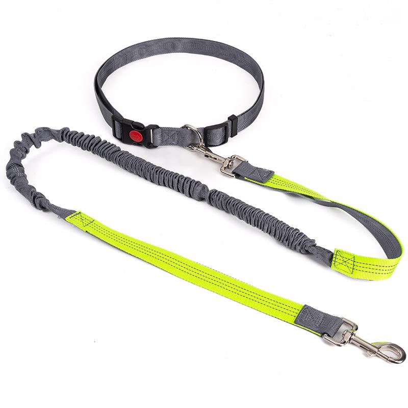 Empty Shell Weight Carrying Strap Vest with Pockets Muscle Training Kit Dogo Argentino American Pit Bull Large Canine K9 Jacket