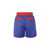 Puma Çocukluk Hayalleri Renk Bloklu Çizgili Logolu İpli Basketbol Şortu Erkek Şortu Mücevher Mavisi 539922-01
