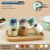Mingling Quantitative Glass Salt Shaker Set
