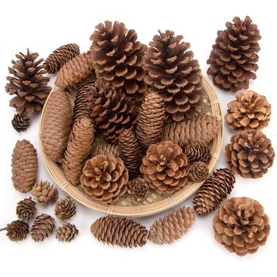 20PCS Natural Pinecone Ornaments, Pine Cones Bulk Natural Pinecones Assortment for Fall Winter Christmas Bowl Fillers (Natural)
