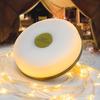 Comprimento 8 metros 1pc Lanterna de acampamento ao ar livre, luz LED decorativa, luz de barraca portátil