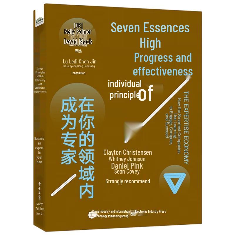 The Seven Principles of Efficient Progress