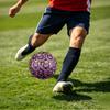 1pc Wolf Dreamcatcher Theme Soccer Ball Football, Size 5, Lightweight PVC, Outdoor Training Soccer Ball,Gift C6580
