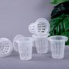 50 Stück Hydroponischer Pflanzkorb Pflanzenzuchtbehälter Garten Schlitztasse Hydroponische Gemüsepflanzung Setzlingtasse Schwamm