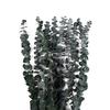 10 Pcs 22 inch Artificial Plants Flowers Real Leaves Preserved Eucalyptus Stems  Bathroom