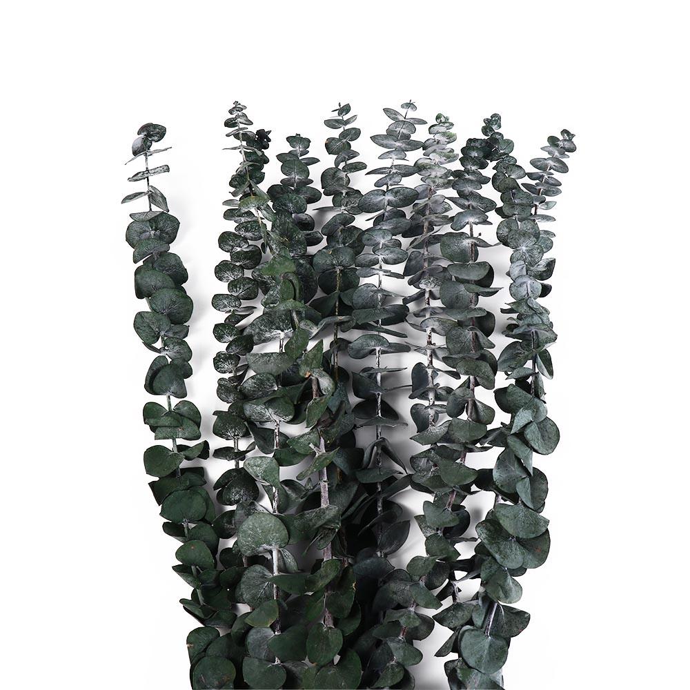 10 Pcs 22 inch Artificial Plants Flowers Real Leaves Preserved Eucalyptus Stems  Bathroom