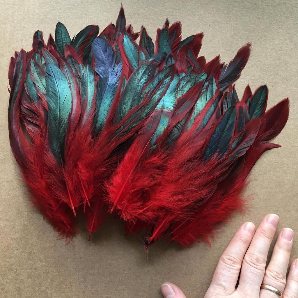 Piume di Gallo Naturali da 5-7 Pollici per Catcher di Sogni Artigianato Gioielli Accessori per la Realizzazione Piume di Gallina