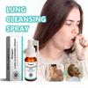 1/3/5PCS Lung Herbal Cleanser Spray Smokers Clear Nasal Mist Anti Snoring Congestion Relieves Solution Clear Throat Breath Spray