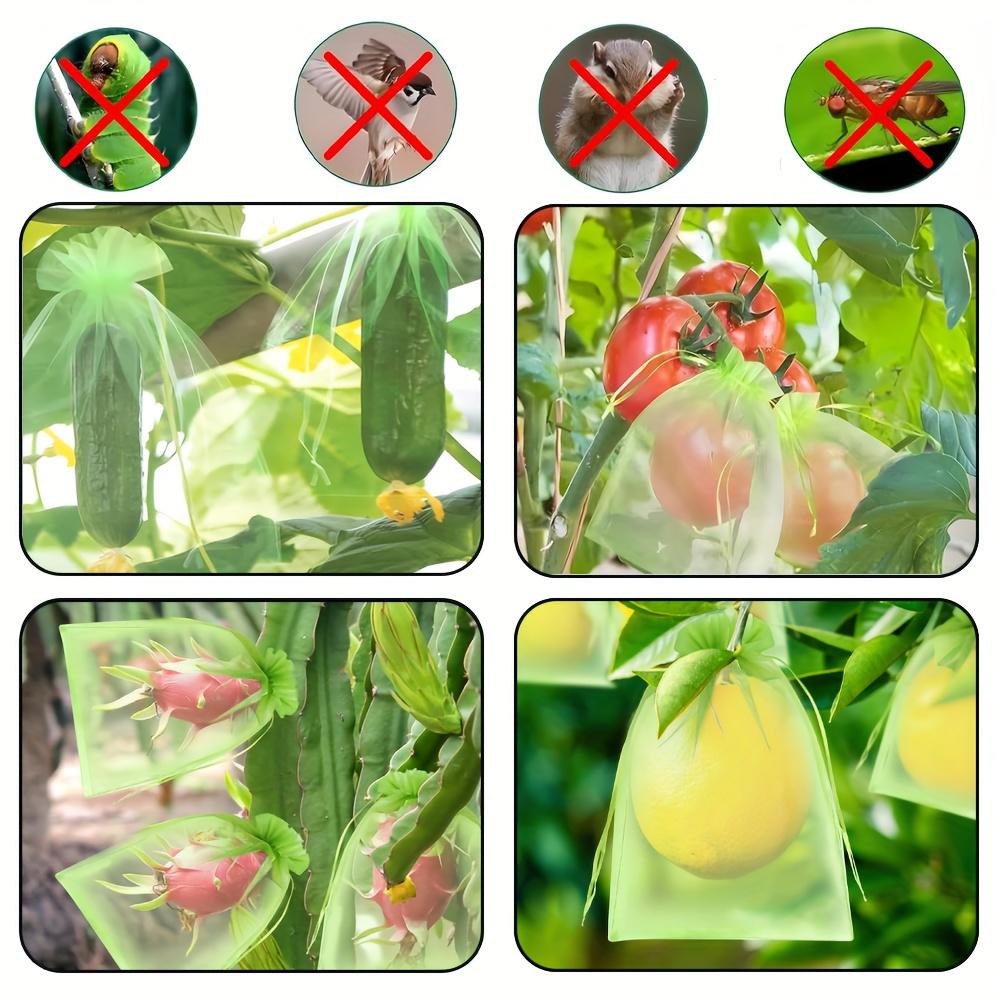 100 Stück Wiederverwendbare Obstgarten-Netzbeutel für Pflanzenschutzbeutel - Atmungsaktives Organza mit Kordelzug-Netzbeuteln, Insekten- und Vogelschutz