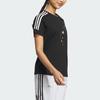 Adidas X Shuting Qiu Designer Collaboration Embroidered Floral Striped Short Sleeve Tee Women Tops Black IM8448