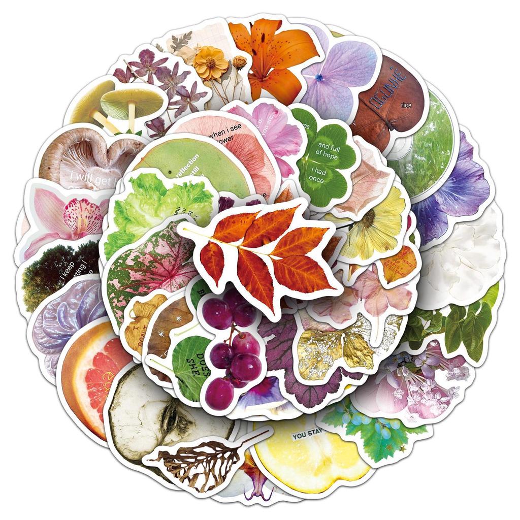 50 Sheets Fresh Plant Specimen Stickers: Art Style Cartoon Leaves, Waterproof & Decorative.