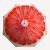 1 PC Automatic Folding Umbrella -Red fruitsPattern,Portable & Foldable Design with 8 Ribs,Christmas Birthday Gifts