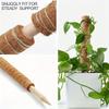 Coconut Palm Stick & Turtle Back Climbing Pole for Plant Support