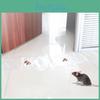 Invisible Transparent Mouse Trap Mat For Catching Rodents In Home Use Strong Adhesive Sticky Pad For Rat Control X 28cm)