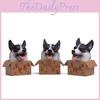 Cute Box Cartoon Corgi Husky Shepherd Dog Mini Model Ornament Decoration Desktop