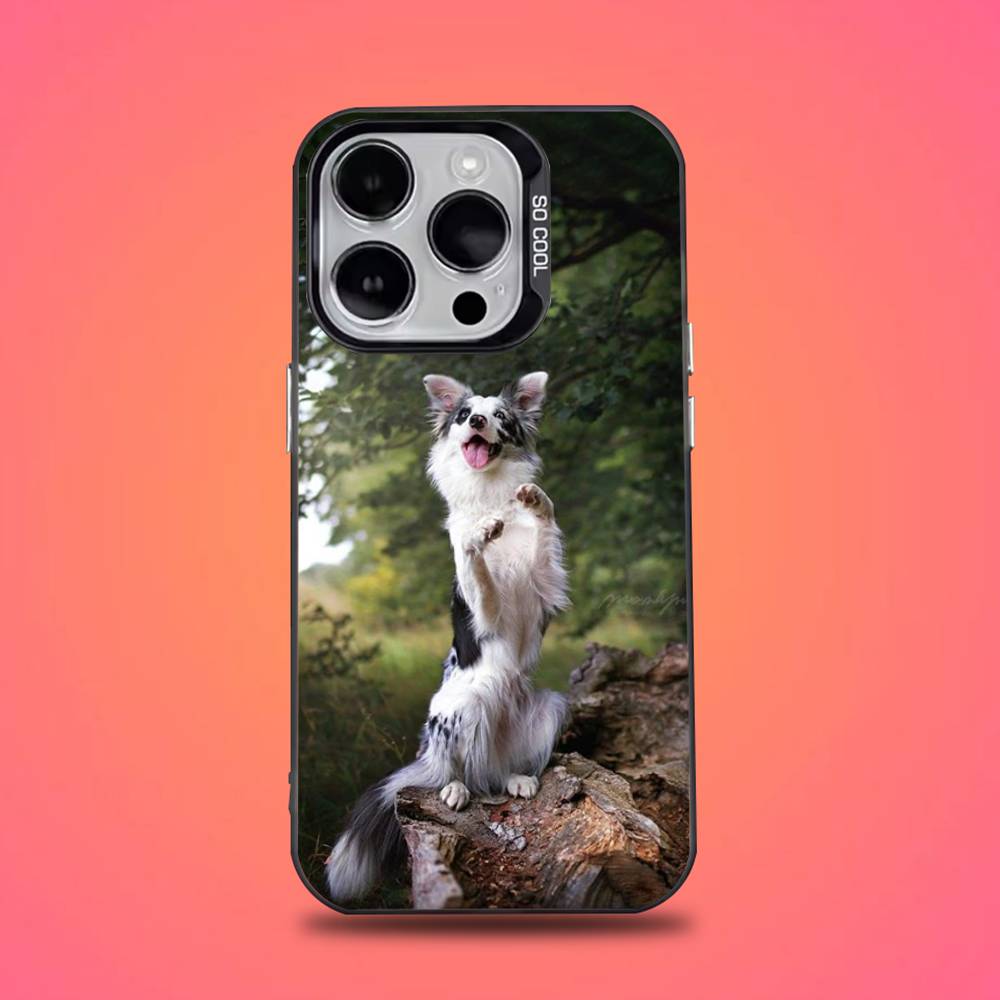 Border Collie Dog Phone Case For iPhone 16,15,14,13,12,11,Pro,Max,Plus,Mini,XS,SE Anti Fall Black Matte Hard Bumper