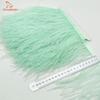 Chengbright Whole High Quality 10yards Mint Green Ostrich Feather Ribbon Ostrich Feathers Trim Fringe Clothing Decoration