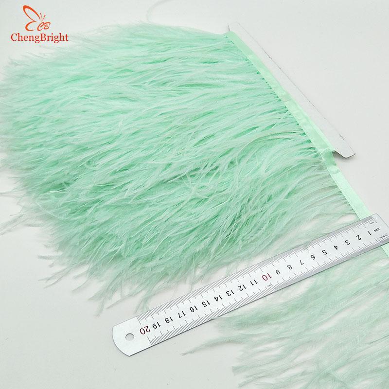 FeatherChengBright High Quality 10Yards Mint Green Ostrich Feather Ribbon Ostrich Feathers Trim Fringe Clothing Decoration