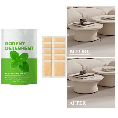 Rodent Deterrent Peppermint Oil  Household Rat Deterrent 10Pack