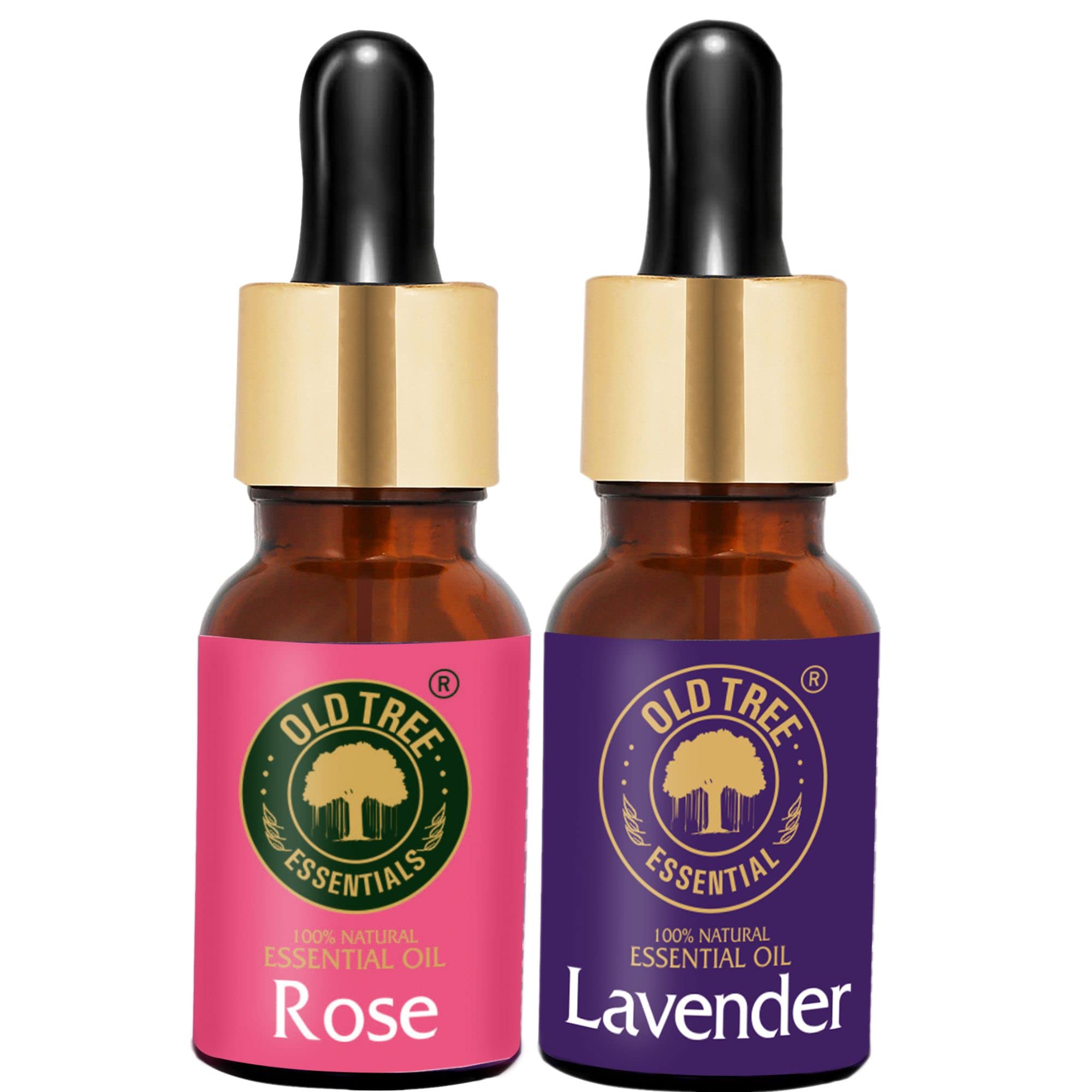 Old Tree Rose and Lavender Essential Oil Combo Pack (15ml each) - Pure, Natural and Undiluted Essential Oil with Glass Dropper for Fragrance
